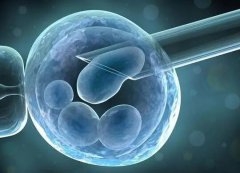 鲜胚1级胚胎成功率，医生说出了这几点原因
