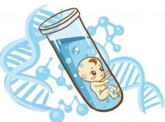 囊胚移植第三十三天检查发现孕囊只有1.8正常吗？