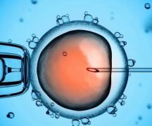 如何增加生双胞胎的几率，1个成熟卵泡受精后有机会怀上双胞胎吗？