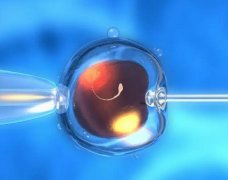 鲜胚11天测不到正常吗，囊胚移植十一天了还是测不到