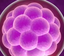 中国同性去哪里领结婚证，2023美国同性结婚走向合法
