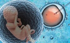 37岁疤痕子宫在移植时可以同时移两个胚胎吗？