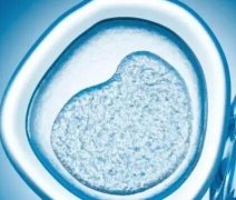 泰安生育险二胎能报多少，2021年二胎生育险报得比一胎少吗?