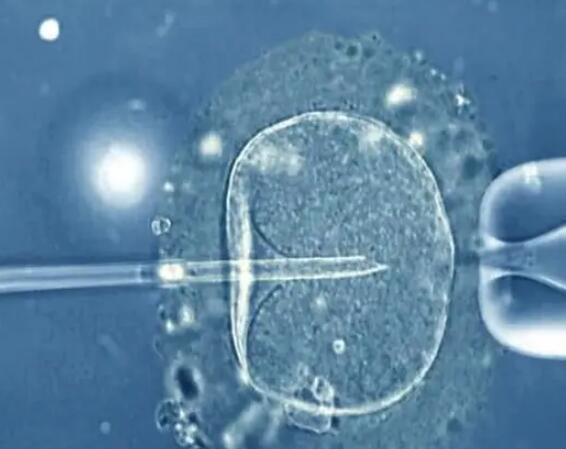 试管胚胎质量不好会影响将来宝宝的智力和健康吗？