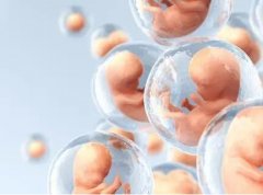 输卵管积水可以移植鲜胚吗，2022试管费用多少？