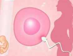 试管婴儿降调多久开始促排卵，专家关于试管婴儿促排卵方案详细讲解