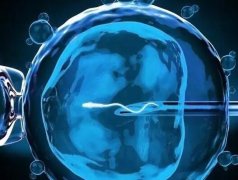 试管移植可以一次性移植一个囊胚和一个新鲜胚胎吗？