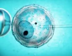 2021年产假是158天还是98天，新疆2022新产假有158天是怎么算的？