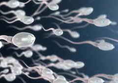人工受孕能保证生男孩吗，在体质上有哪些特征？