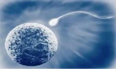 卵巢早衰促排卵管用吗，超促排卵的危害有哪些？